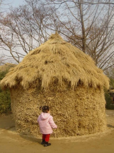 짚단을 이렇게 단단히 쌓아두면 3년 가도 끄덕없습니다. 